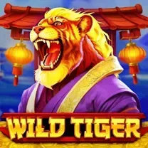 PlayFortuna Casino: Login E Cadastro Grátis